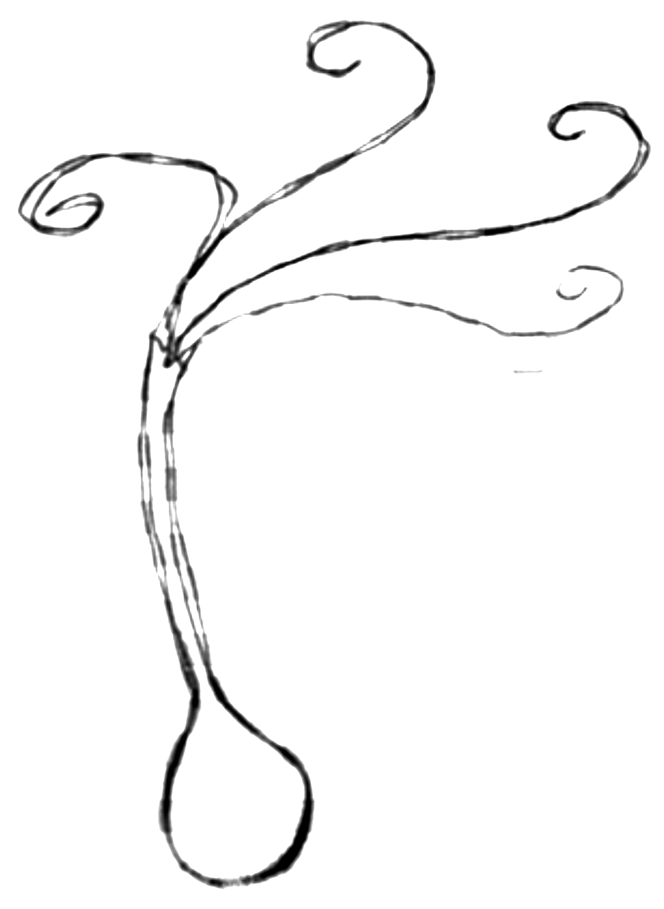 WIETRZYK